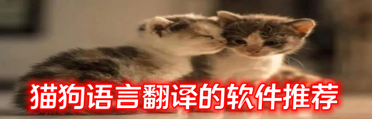 猫狗语言翻译的软件推荐