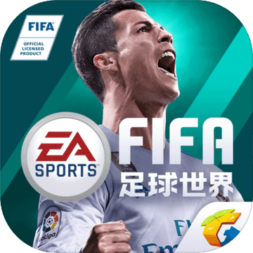 fifa足球世界比赛服