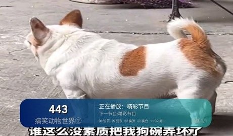 芸汐影视TV-图3