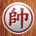 中国象棋棋逢对手