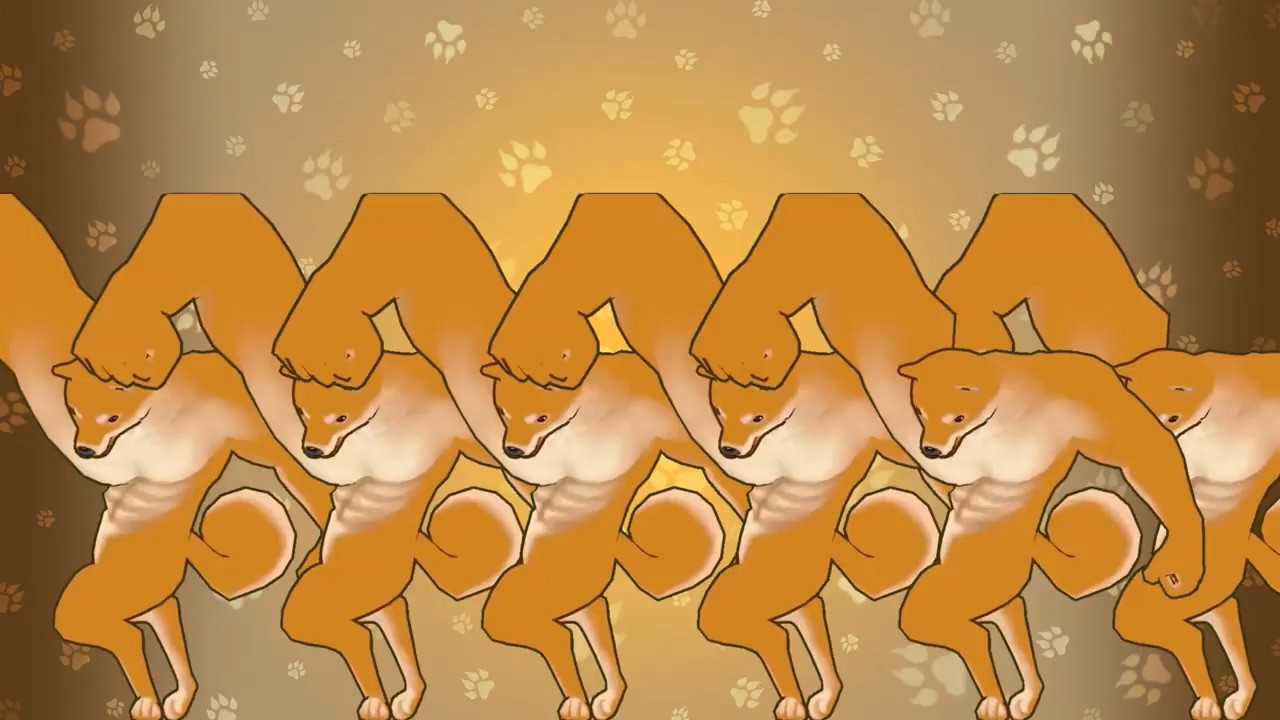 动物之战