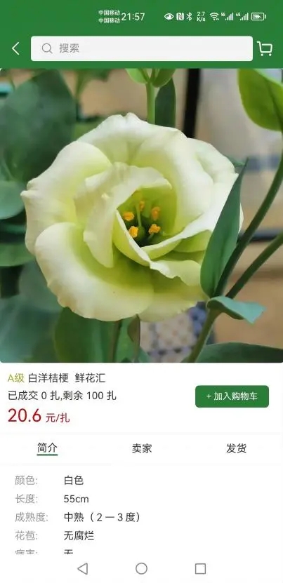 花品荟-图1