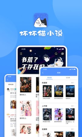 坏坏猫-图1
