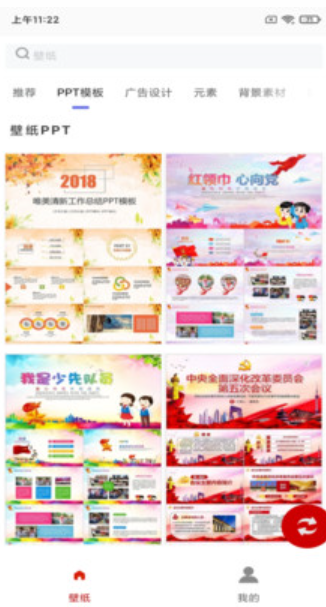 白鸽壁纸-图2