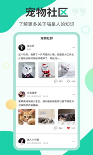 猫语翻译机-图3