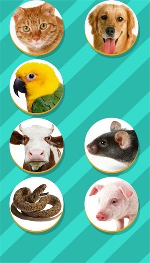 pet translator-图3