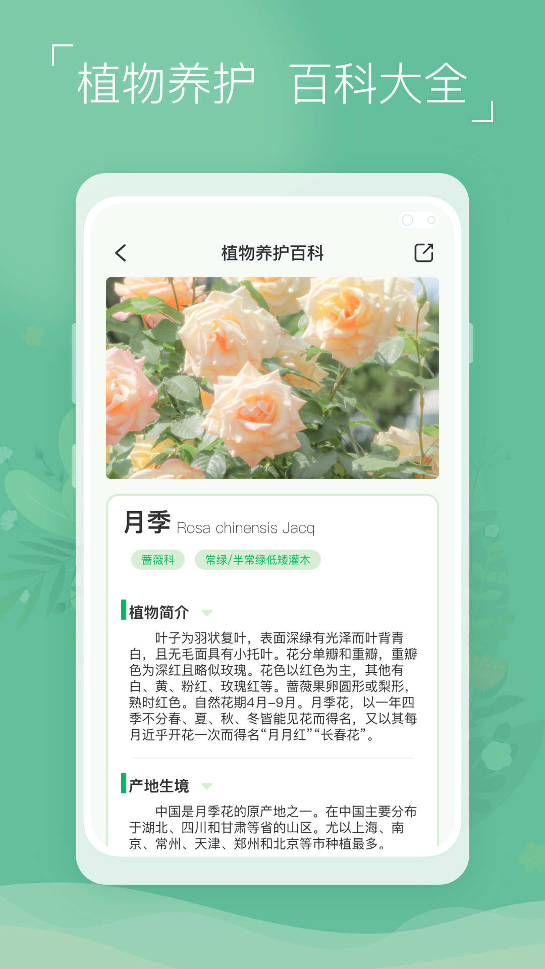 植物识别宝-图3
