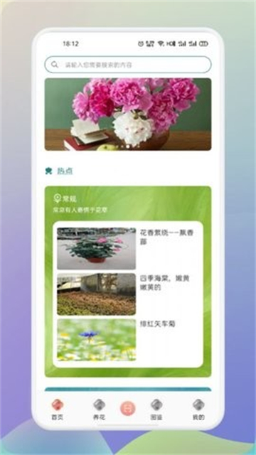 梦想鲜花-图2