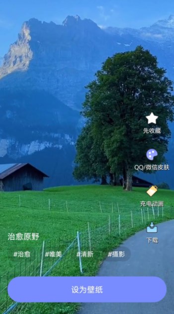 天天桌面壁纸-图1