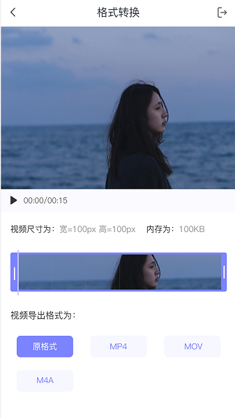 视频转格式大师-图3