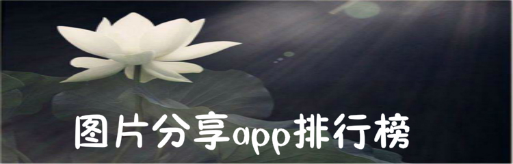 图片分享app排行榜