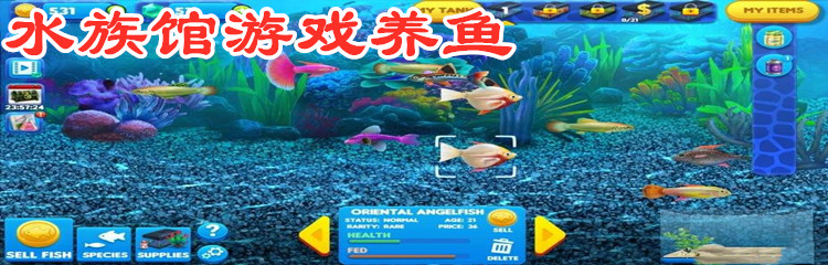 水族馆游戏养鱼