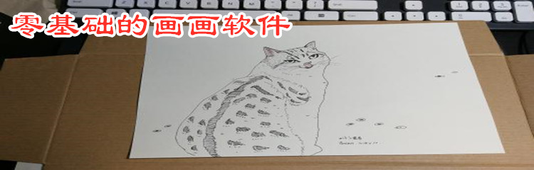 零基础的画画软件