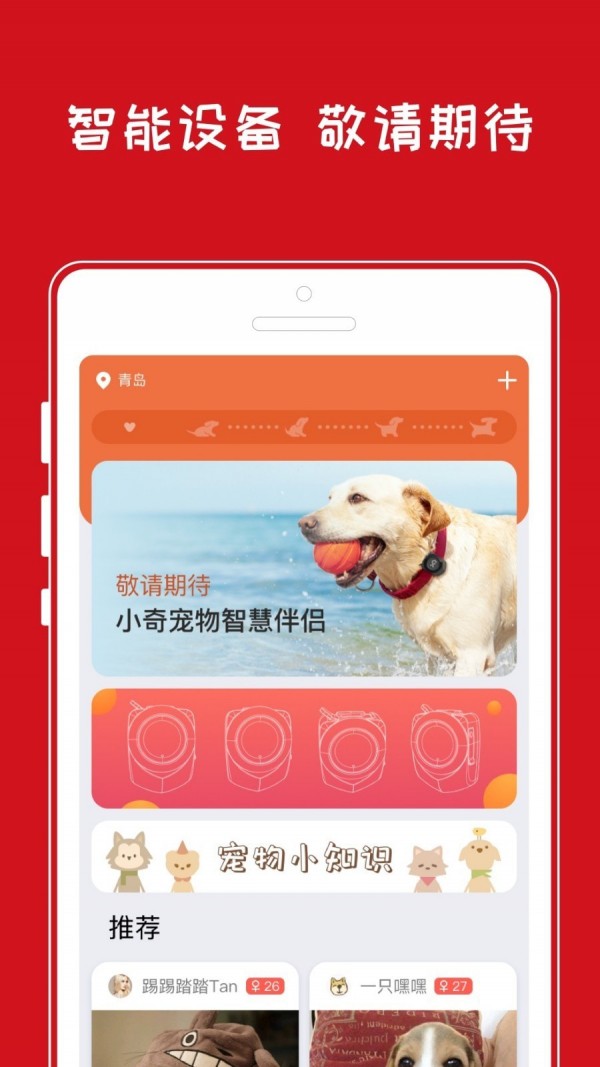 小奇智宠-图1