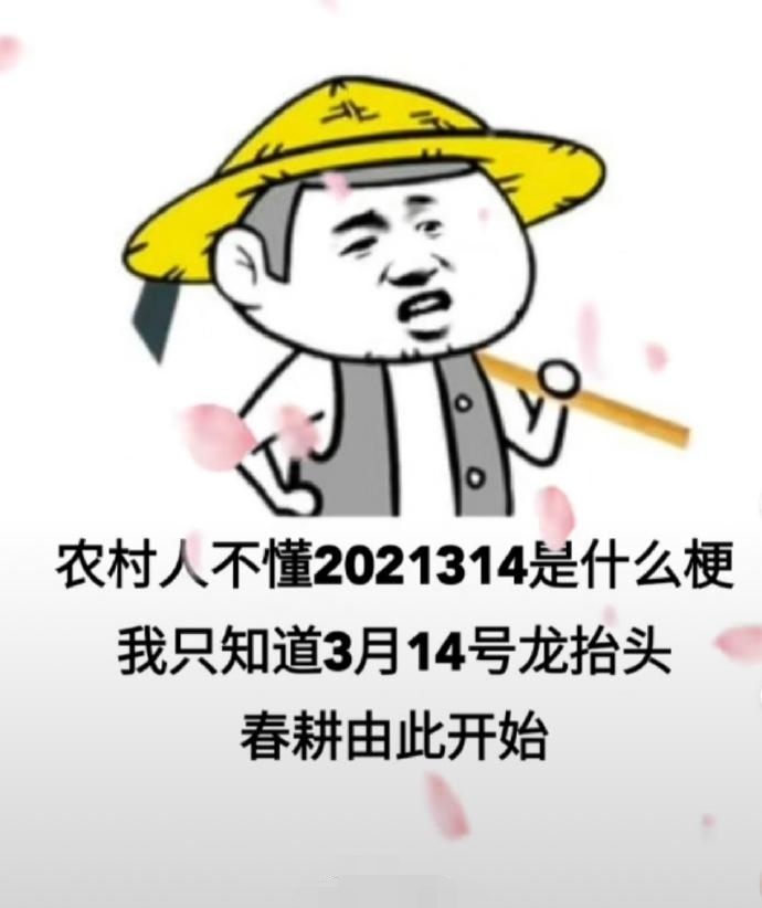 农村人不懂2021314是什么梗表情包