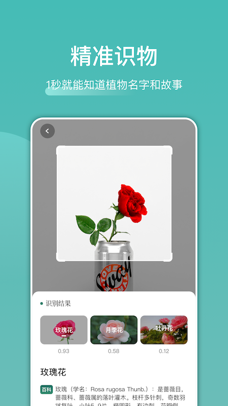 识花识物-图2