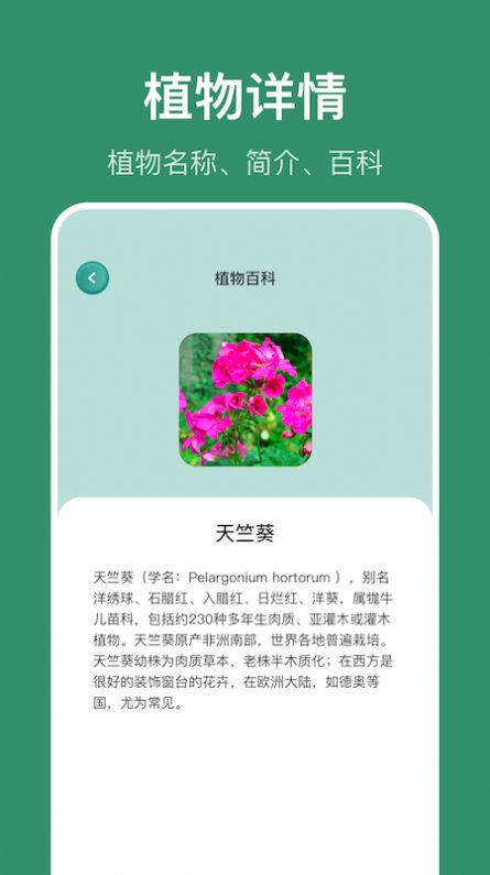 识花草app-图3