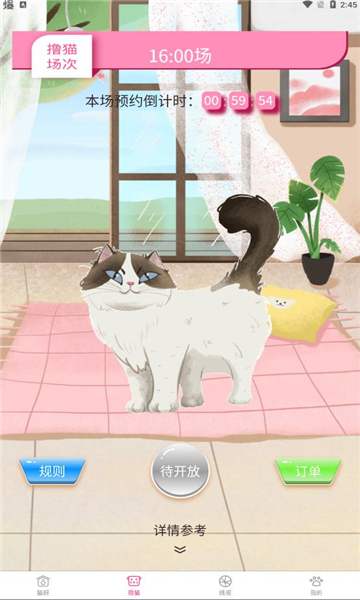 养猫吧app