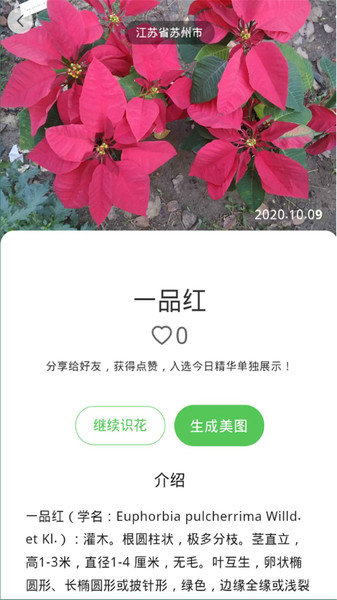 花朵识别