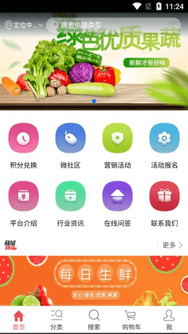 绿色优质果蔬-图3