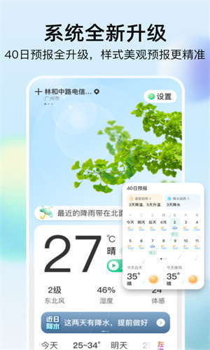 竹雨天气-图2