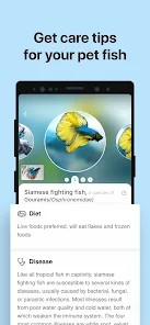 Picture Fish