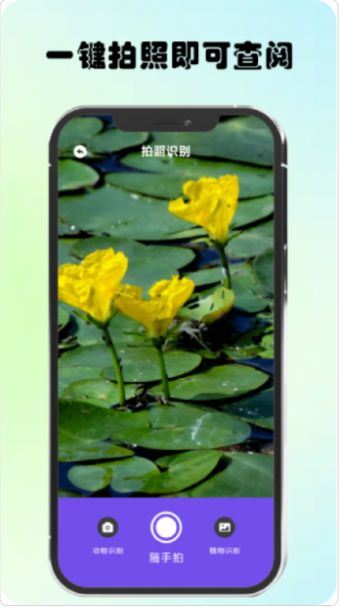 万物识图高手-图3