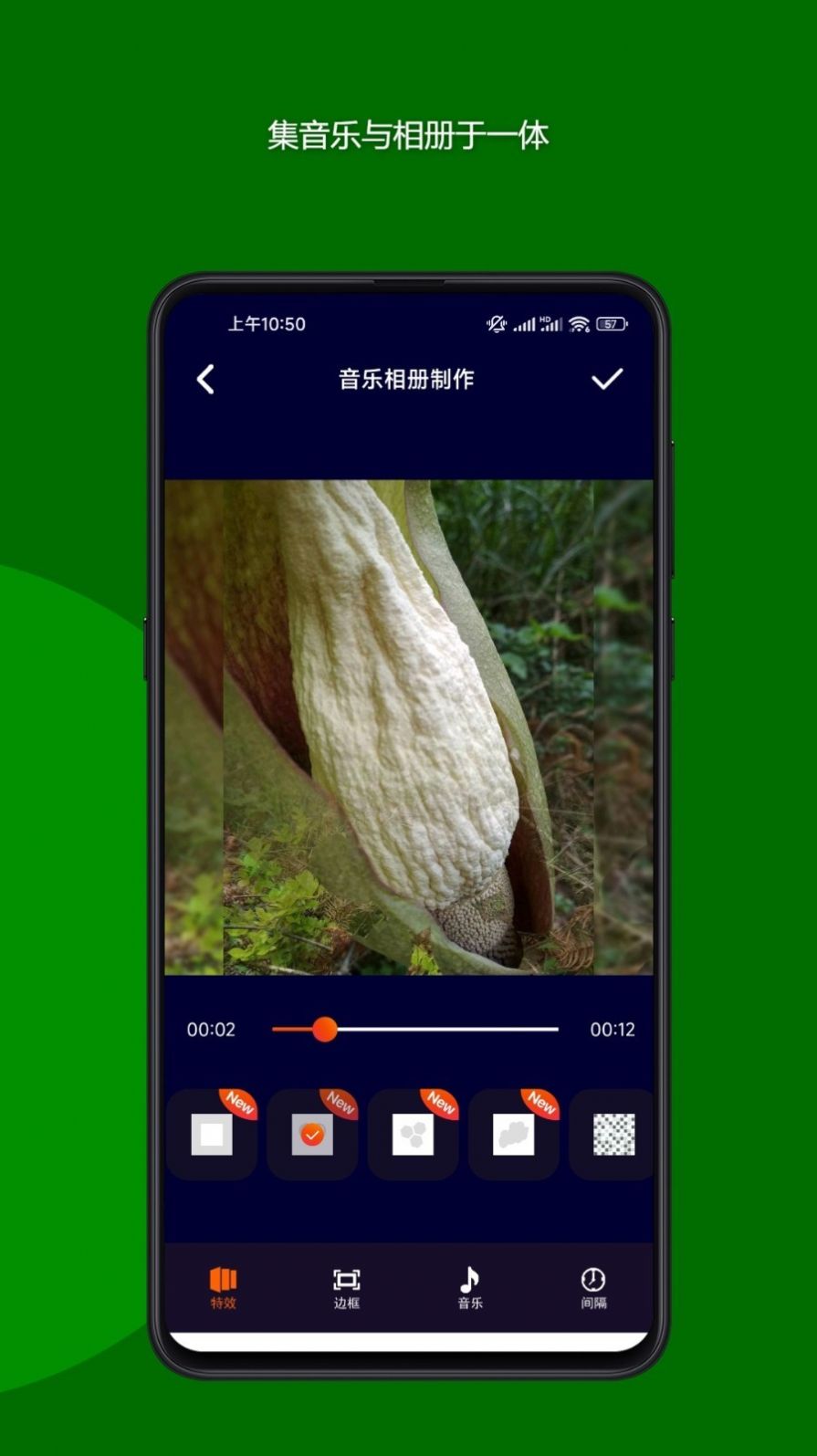 魔法音乐相册-图2