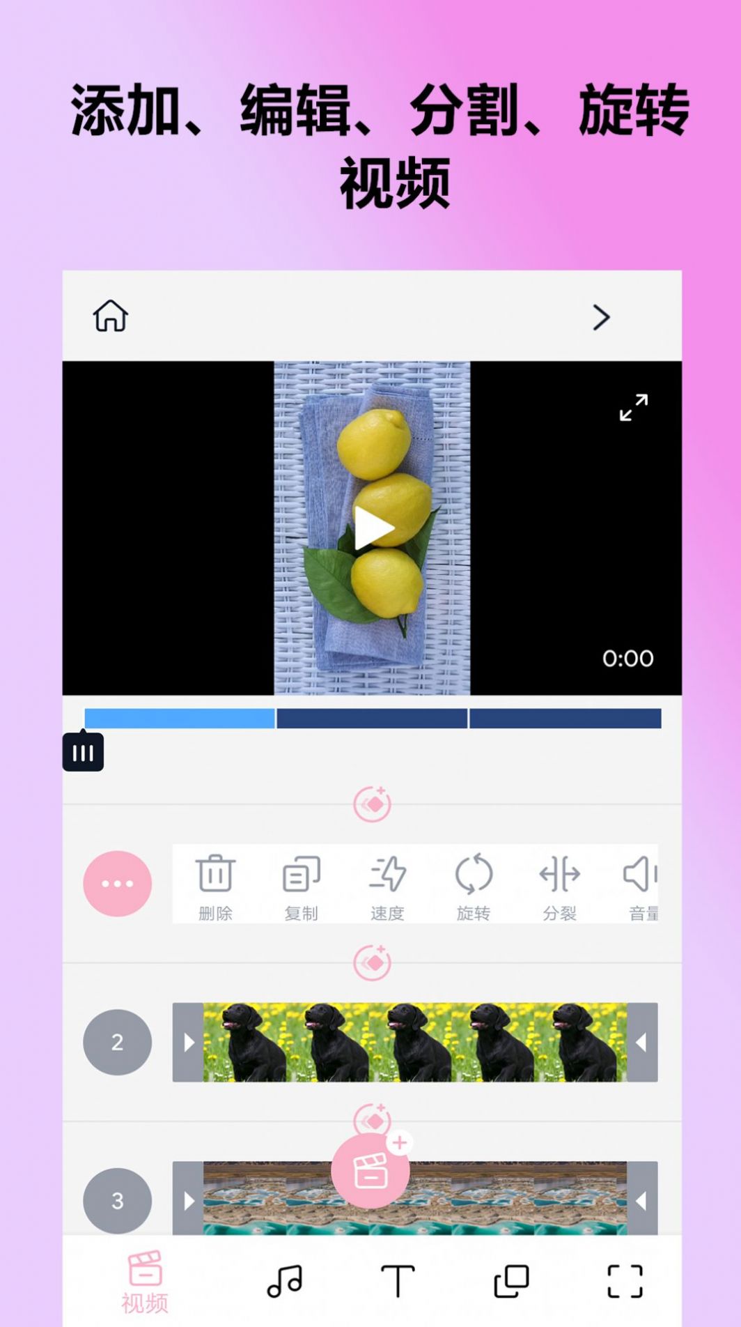 剪拍视频GIF-图3