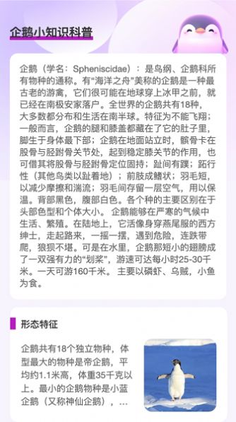 企鹅流量助手-图2