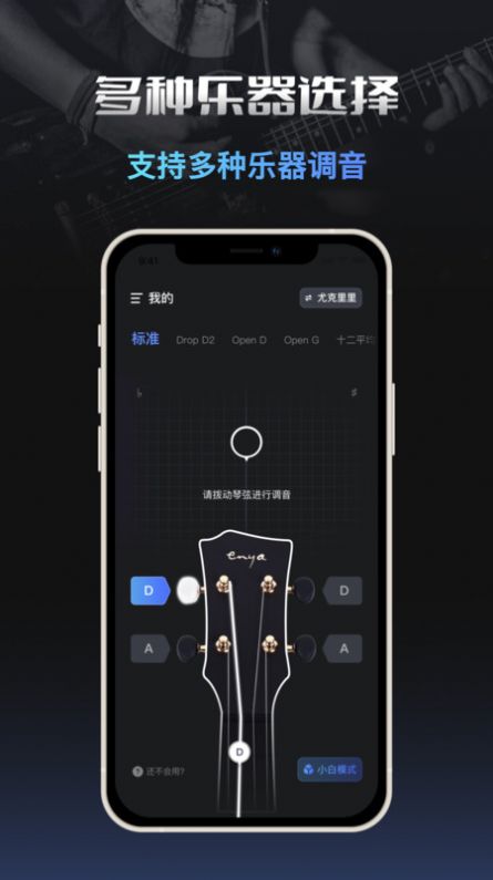 调音器tuner-图3