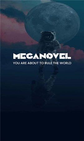 MegaNovel-图1