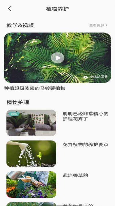 拍照识别植物弛意版-图3