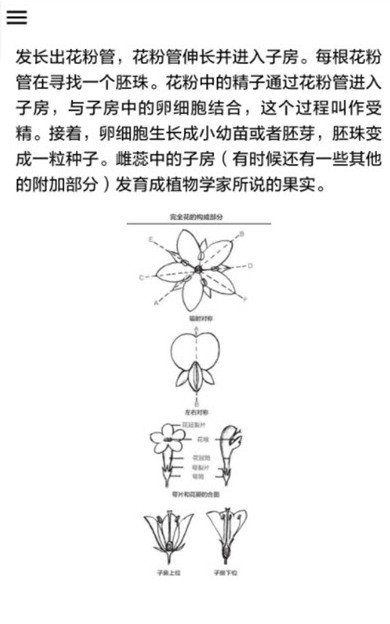 野外植物识别-图2