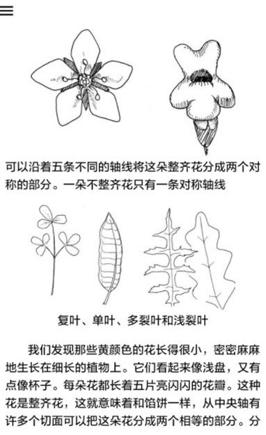 野外植物识别-图3