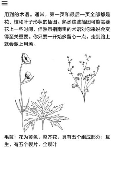 野外植物识别-图1