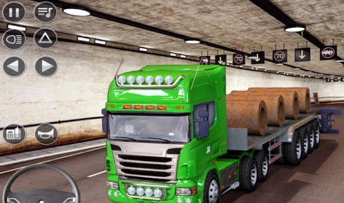 Winter Farm Truck 3D-图2