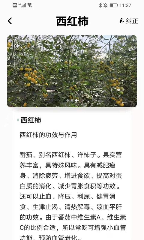 植物科普百科-图3