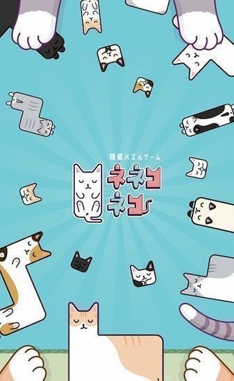 猫猫睡觉觉-图3