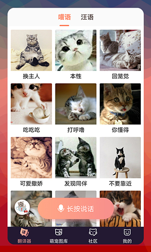 猫语翻译交流器-图2