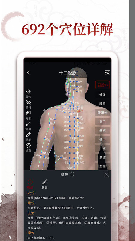 中医经络穴位-图2