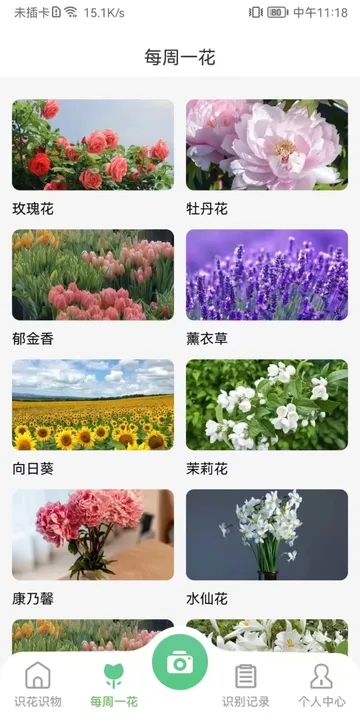 花卉识别图鉴-图2