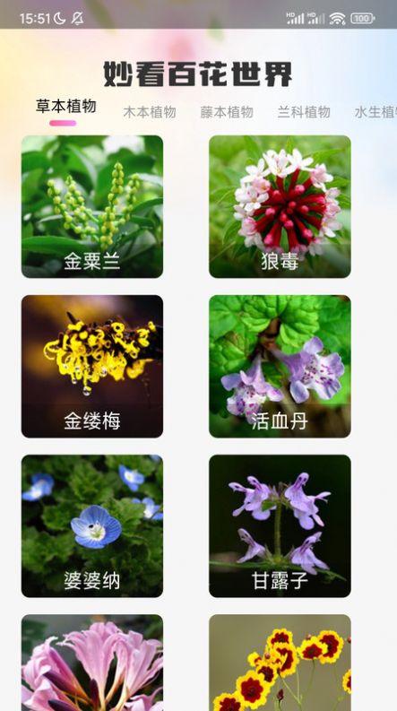 妙看百花-图2