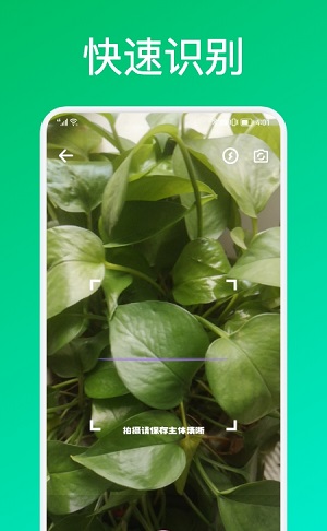 识花君植物识别-图2