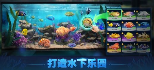 Top Fish-图2