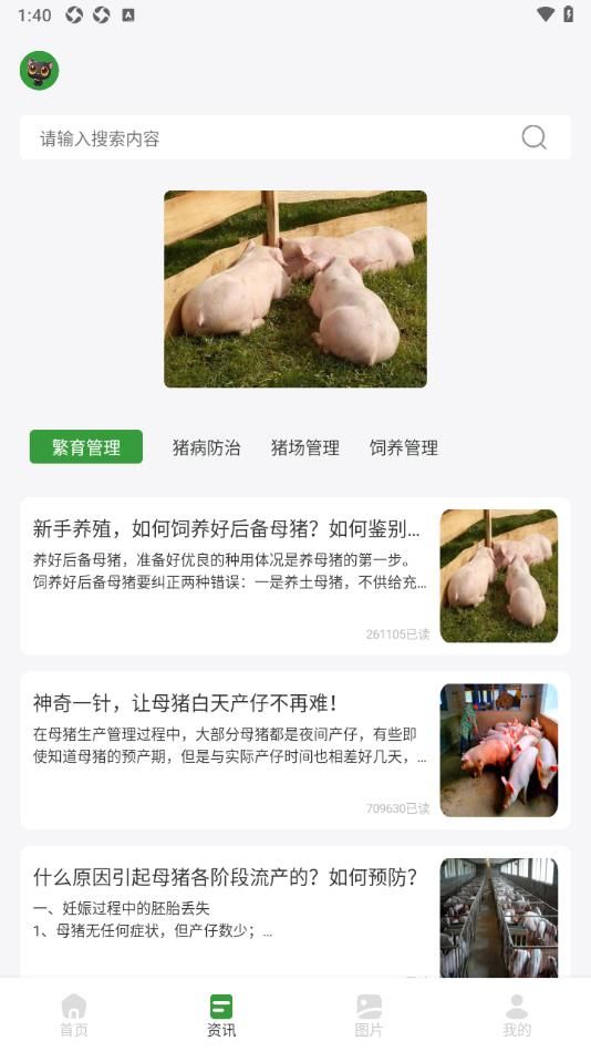 小小养猪场助手-图3